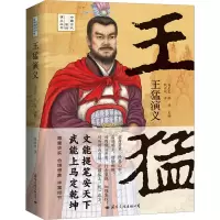 王猛演义