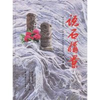 [M]说石构景-9787802271333