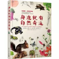 身边就有自然奇迹