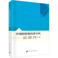 中国的特殊经济空间