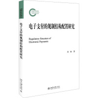 电子支付的规制结构配置研究
