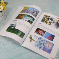 设计色彩(第2版)