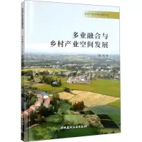 多业融合与乡村产业空间发展