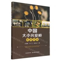 [N]中国大小兴安岭黏菌图鉴-9787109304222