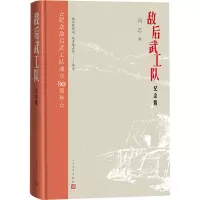 敌后武工队 纪念版
