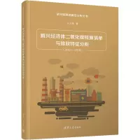 新兴经济体二氧化碳核算清单与排放特征分析(2010-2018)