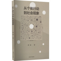 从个体行动到社会现象