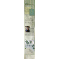 北宋中期儒学复兴运动(增订本)