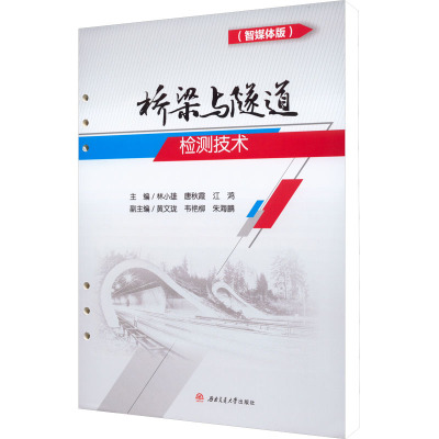 桥梁与隧道检测技术(智媒体版)