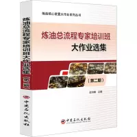 炼油总流程专家培训班大作业选集(第二期)