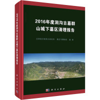 2016年度洞沟古墓群山城下墓区清理报告