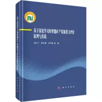 基于深度学习的智能矿产资源潜力评价原理与实践
