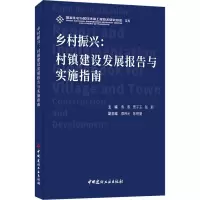乡村振兴:村镇建设发展报告与实施指南