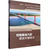 凤凰黄河大桥建造关键技术