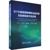 基于机器视觉的钢铁冶金过程智能感知技术及应用