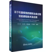 基于机器视觉的钢铁冶金过程智能感知技术及应用