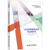 企业财务报表分析与业绩评价