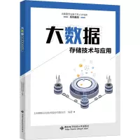 大数据存储技术与应用
