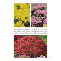 北京自然观察手册 园林花卉