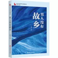 男人没有故乡(中国专业作家作品典藏文库·石钟山卷)