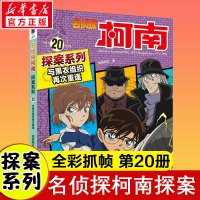 与黑衣组织再次重逢