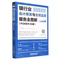 [N]银行业会计核算与合规监管报告全图解(Power BI版)-9787113299552