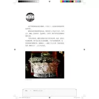 金艺呈瑞