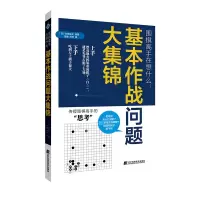围棋高手在想什么:基本作战问题大集锦