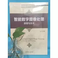 智能数字图像处理:原理与技术
