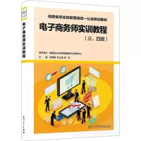 电子商务师实训教程(三、四级)