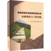 束筋微型抗滑桩群加固边坡分析理论与工程实践