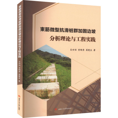 束筋微型抗滑桩群加固边坡分析理论与工程实践