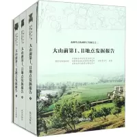 大山前第1、2地点发掘报告(全3册)