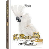名优赏玩鸟品种图鉴