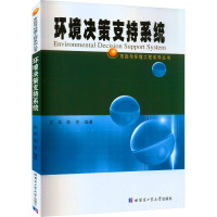 环境决策支持系统