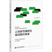 云南新型城镇化建设路径探索