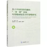 基于中国经验传播的