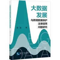 大数据发展与跨境数据保护法律适用问题研究