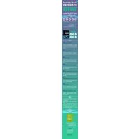 DORIS实时数仓实战