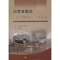 小型水电站计算机监控实用技术