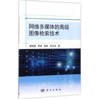 网络多媒体的高级图像检索技术