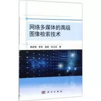 网络多媒体的高级图像检索技术