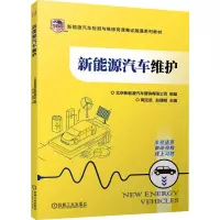 新能源汽车维护