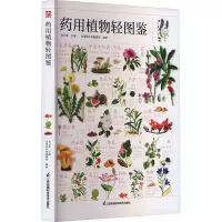 药用植物轻图鉴---轻图鉴系列2