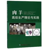 肉羊高效生产理论与实践