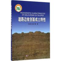 道路边坡创面成土特性