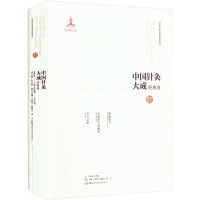 中国针灸大成·经络卷(经脉图考 人体经穴脏腑图 节穴身镜)