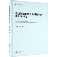 电沉积铜和铜合金过程中的电化学行为