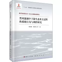 黑河流域中下游生态水文过程的系统行为与调控研究
