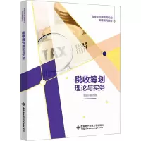 税收筹划理论与实务